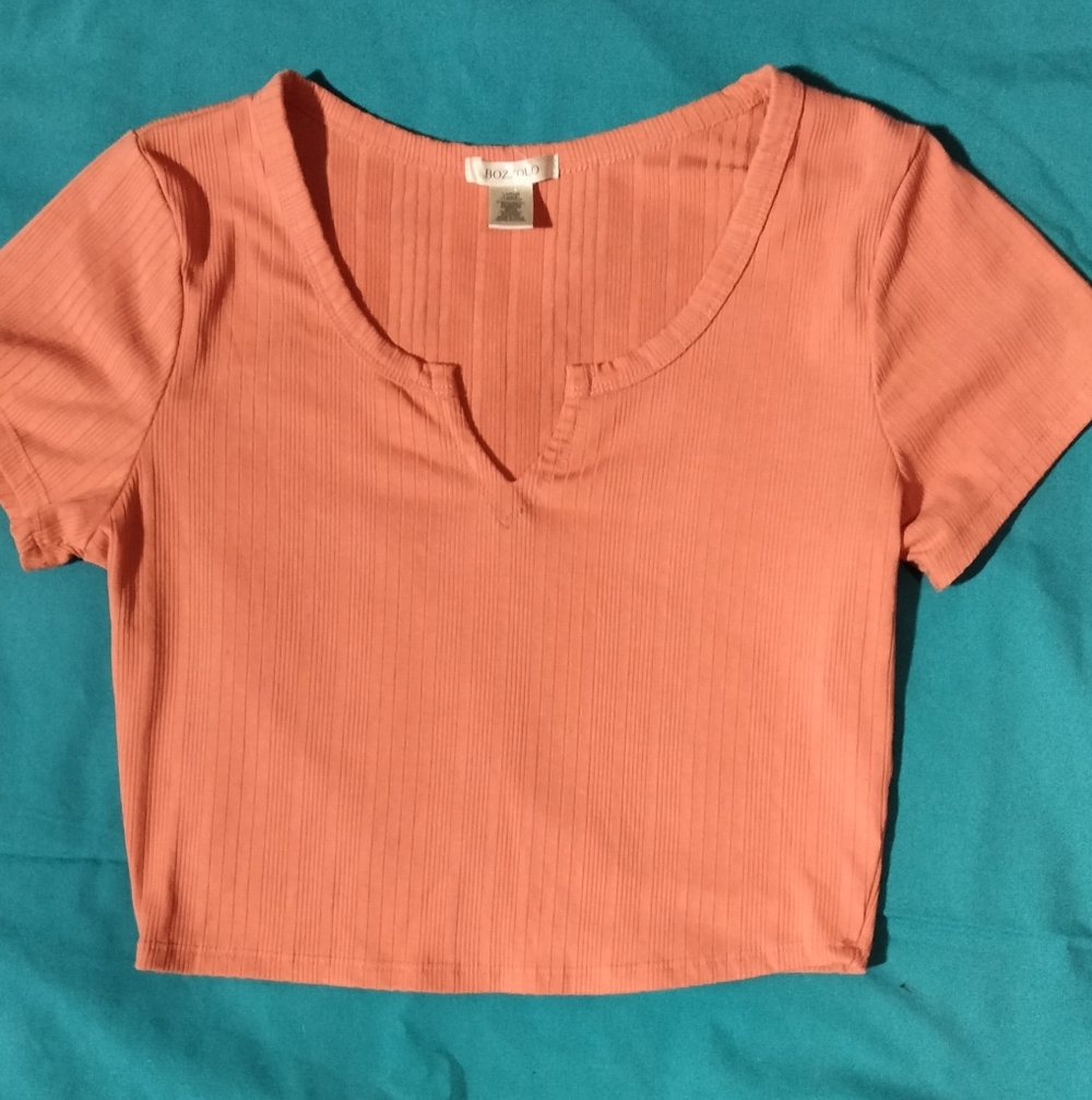 Terracotta Orange V-Neck Ribbed Crop Top